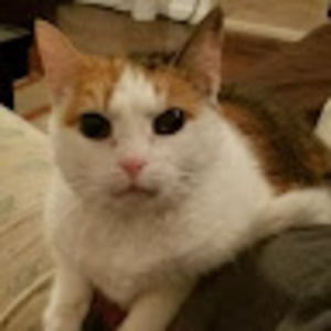 Meet your Posher, Zaraya